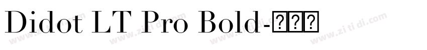 Didot LT Pro Bold字体转换